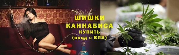 гидра Бронницы