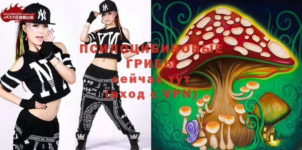 мдпв Бугульма