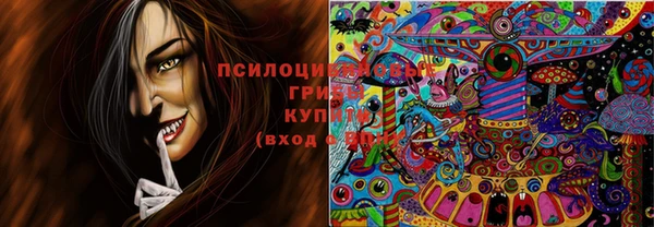 мдпв Бугульма
