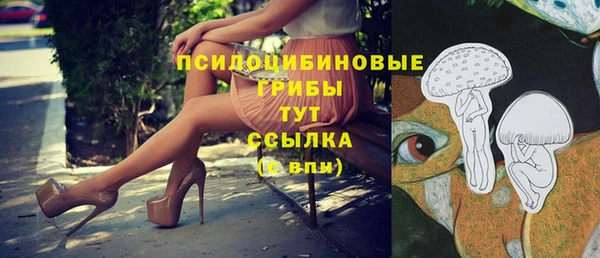 мдпв Бугульма