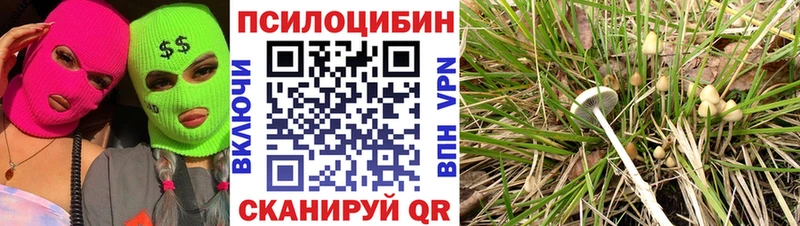 KRAKEN как войти  Нижний Новгород  Псилоцибиновые грибы MAGIC MUSHROOMS 